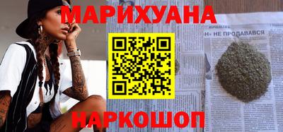 индика Новозыбков