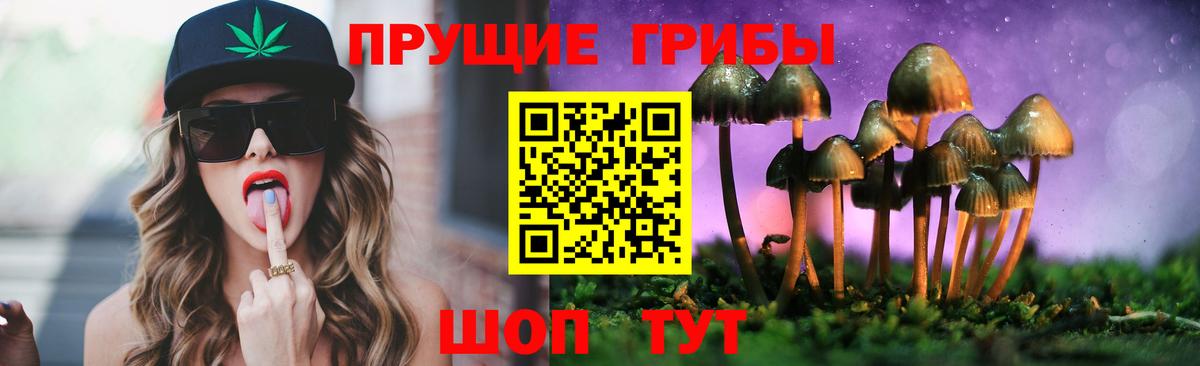 Шарыпово  Псилоцибиновые грибы Psilocybine cubensis  Галлюциногенные грибы Psilocybe  Вход с VPN 